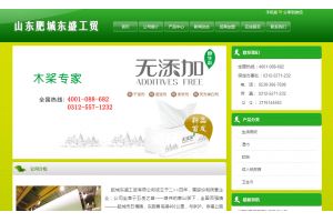 山東肥城東盛工貿(mào)